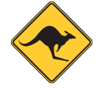 Ngaanyatjarraku Skippycoin ICG Ngaanyatjarraku Skippycoin ICG